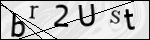Human Confirmation Code (Captcha)