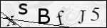 Human Confirmation Code (Captcha)