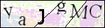 Human Confirmation Code (Captcha)