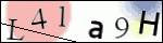 Human Confirmation Code (Captcha)