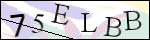 Human Confirmation Code (Captcha)