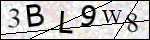 Human Confirmation Code (Captcha)