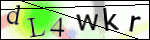 Human Confirmation Code (Captcha)