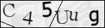 Human Confirmation Code (Captcha)