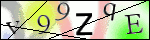 Human Confirmation Code (Captcha)