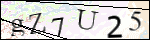 Human Confirmation Code (Captcha)