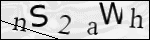 Human Confirmation Code (Captcha)