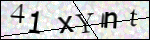 Human Confirmation Code (Captcha)