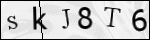 Human Confirmation Code (Captcha)