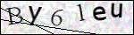 Human Confirmation Code (Captcha)