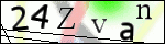 Human Confirmation Code (Captcha)