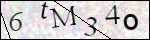 Human Confirmation Code (Captcha)
