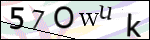 Human Confirmation Code (Captcha)