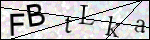 Human Confirmation Code (Captcha)