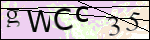 Human Confirmation Code (Captcha)