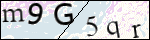 Human Confirmation Code (Captcha)