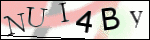 Human Confirmation Code (Captcha)