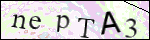 Human Confirmation Code (Captcha)