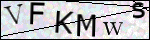 Human Confirmation Code (Captcha)