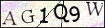 Human Confirmation Code (Captcha)