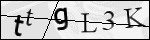 Human Confirmation Code (Captcha)