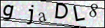 Human Confirmation Code (Captcha)