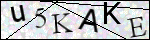Human Confirmation Code (Captcha)