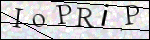 Human Confirmation Code (Captcha)