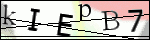 Human Confirmation Code (Captcha)