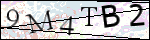 Human Confirmation Code (Captcha)