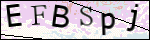 Human Confirmation Code (Captcha)