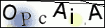 Human Confirmation Code (Captcha)