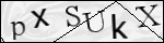 Human Confirmation Code (Captcha)