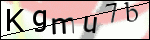 Human Confirmation Code (Captcha)