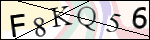 Human Confirmation Code (Captcha)