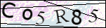 Human Confirmation Code (Captcha)