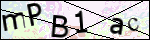 Human Confirmation Code (Captcha)