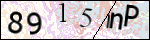 Human Confirmation Code (Captcha)