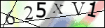 Human Confirmation Code (Captcha)
