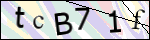 Human Confirmation Code (Captcha)