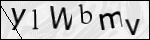 Human Confirmation Code (Captcha)