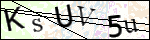 Human Confirmation Code (Captcha)