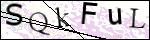 Human Confirmation Code (Captcha)