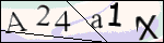 Human Confirmation Code (Captcha)