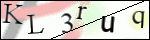 Human Confirmation Code (Captcha)