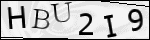 Human Confirmation Code (Captcha)
