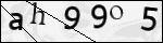 Human Confirmation Code (Captcha)