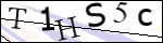 Human Confirmation Code (Captcha)