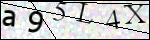 Human Confirmation Code (Captcha)
