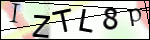Human Confirmation Code (Captcha)